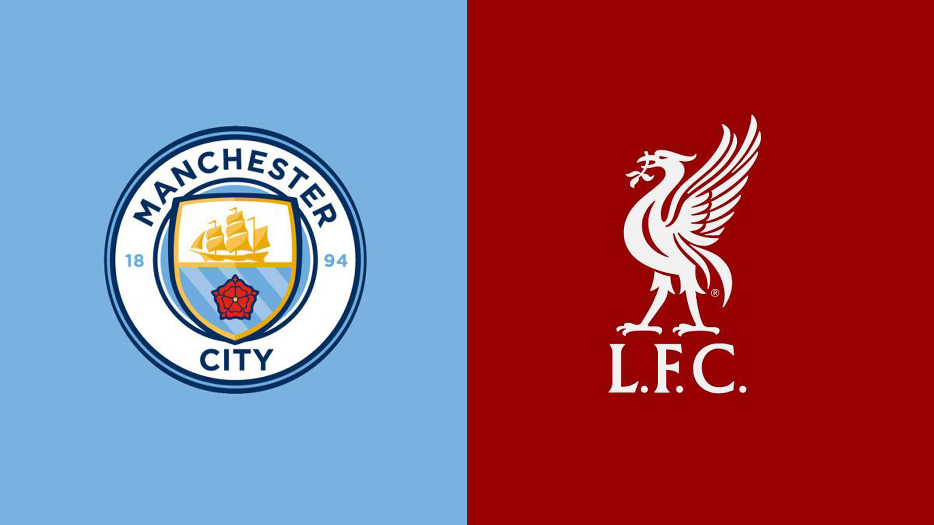 获得了大量 获得了大量